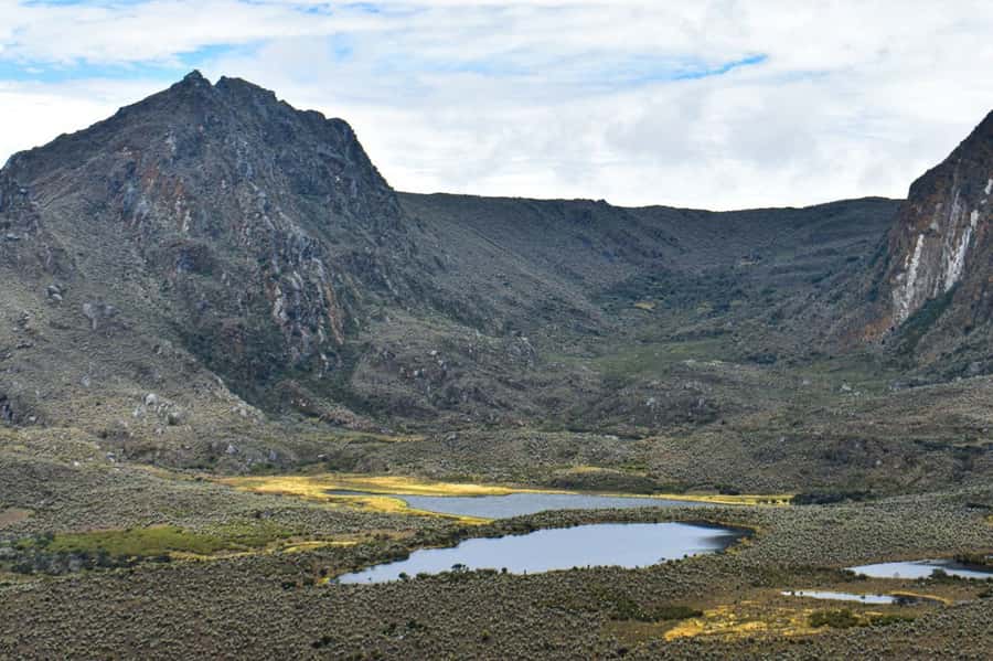 Bogotá: Sumapaz National Park Hike Tour - What the private format adds
