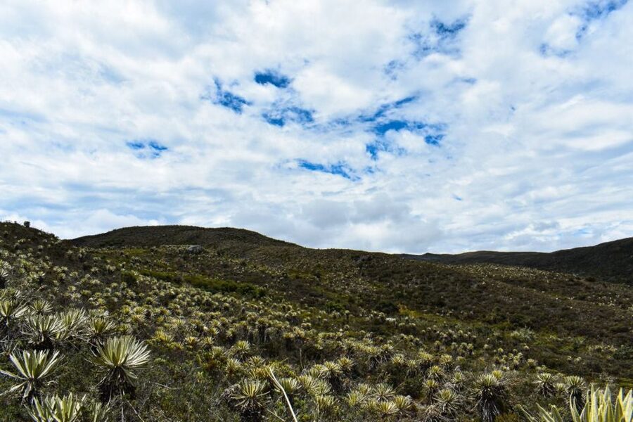 Bogotá: Sumapaz National Park Hike Tour - The return to Bogotá and small local touches
