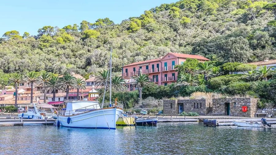 Bormes-les-Mimosas: Sea trip in the heart of Port-Cros National Park - What the two-hour itinerary feels like