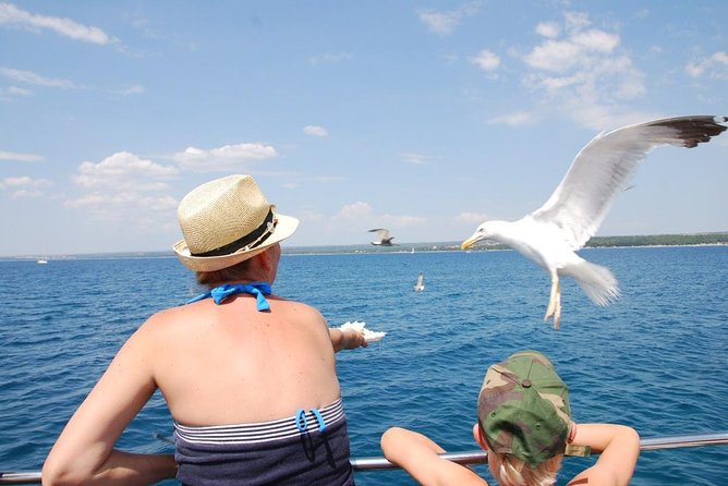 Brijuni National Park Boat Excursion from Pula. With a visit to the island - Practical advice for a smoother day