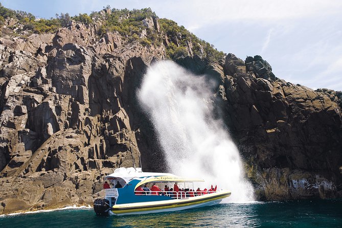 Bruny Island Wilderness Cruise from Adventure Bay, Bruny Island - Why the coast is best seen from Adventure Bay