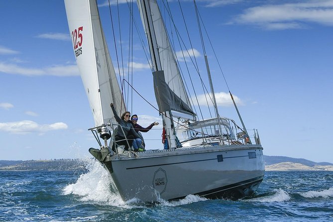 Bruny Island Wilderness Cruise from Adventure Bay, Bruny Island - Speed, spray, and the fun factor