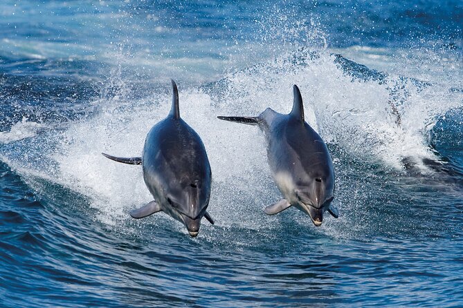 Bruny Island Wilderness Cruise from Adventure Bay, Bruny Island - The weather is part of the experience