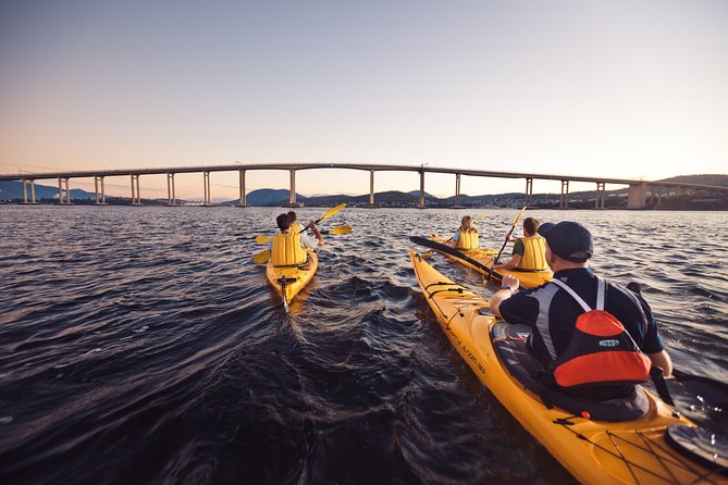 Bruny Island Wilderness Cruise from Adventure Bay, Bruny Island - Guide quality and passenger care