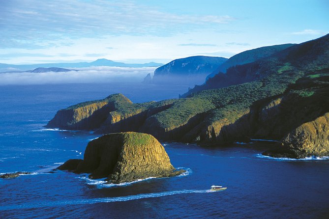 Bruny Island Wilderness Cruise from Adventure Bay, Bruny Island - Is $129.10 good value?