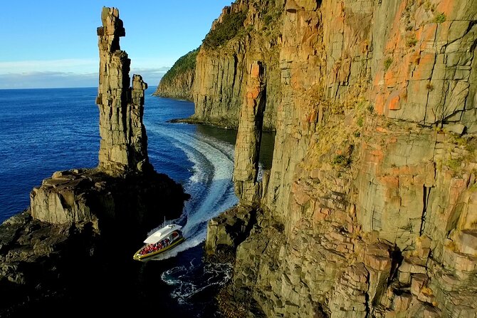 Bruny Island Wilderness Cruise from Adventure Bay, Bruny Island - Wildlife watching without false promises
