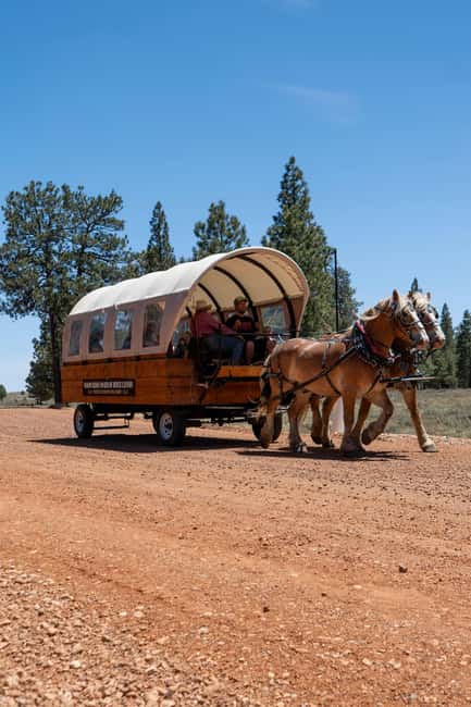Bryce Canyon National Park: Scenic Wagon Ride to the Rim - The Tropic Ditch waterfalls in summer