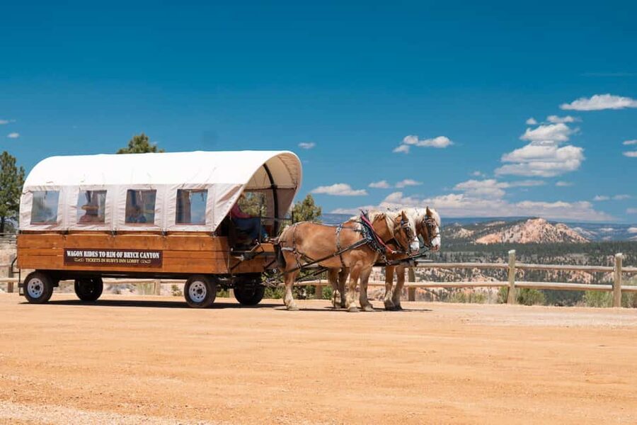 Bryce Canyon National Park: Scenic Wagon Ride to the Rim - Reaching the Bryce Canyon rim
