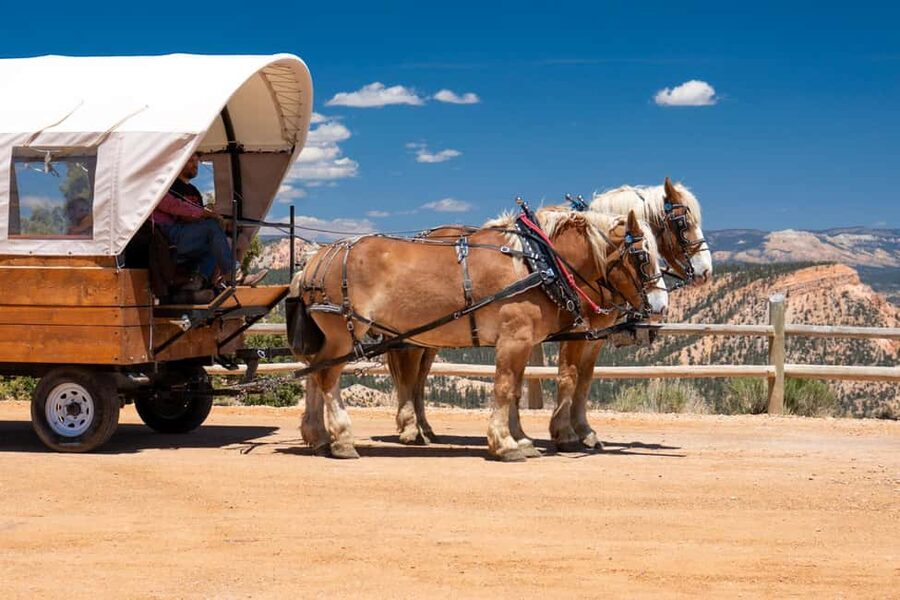Bryce Canyon National Park: Scenic Wagon Ride to the Rim - What the guide adds to the ride