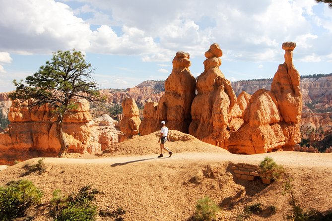 Bryce Canyon & Zion National Park from Las Vegas with Lunch, WiFi - Guides, Drivers, and the Group Experience