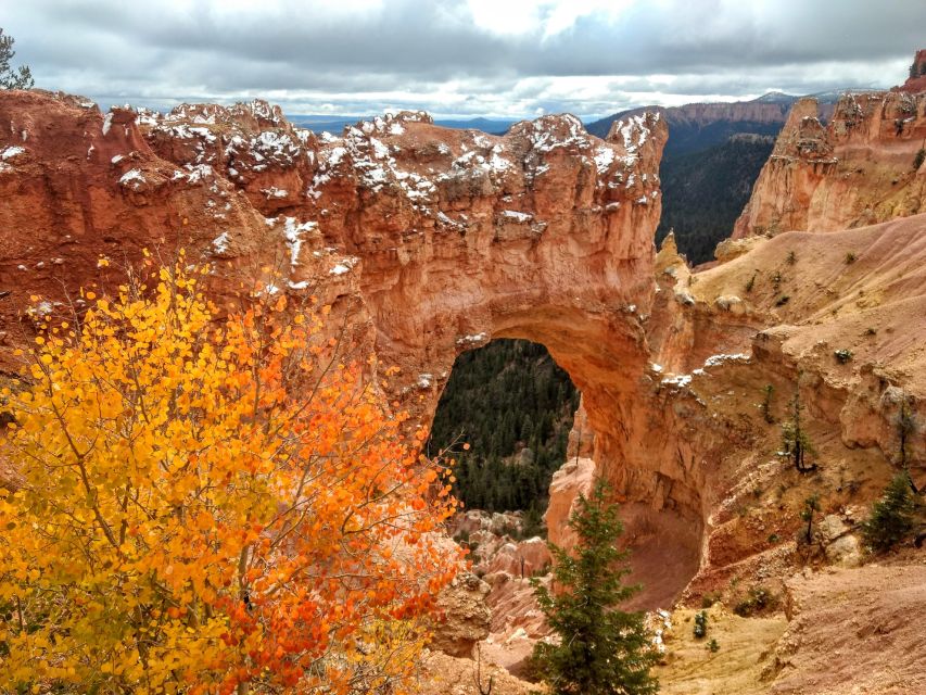 Bryce: Guided Sightseeing Tour of Bryce Canyon National Park - Key points at a glance