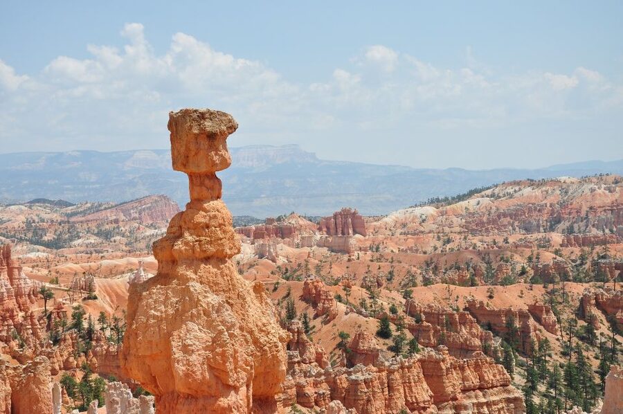 Bryce: Guided Sightseeing Tour of Bryce Canyon National Park - Who should book this Bryce tour?