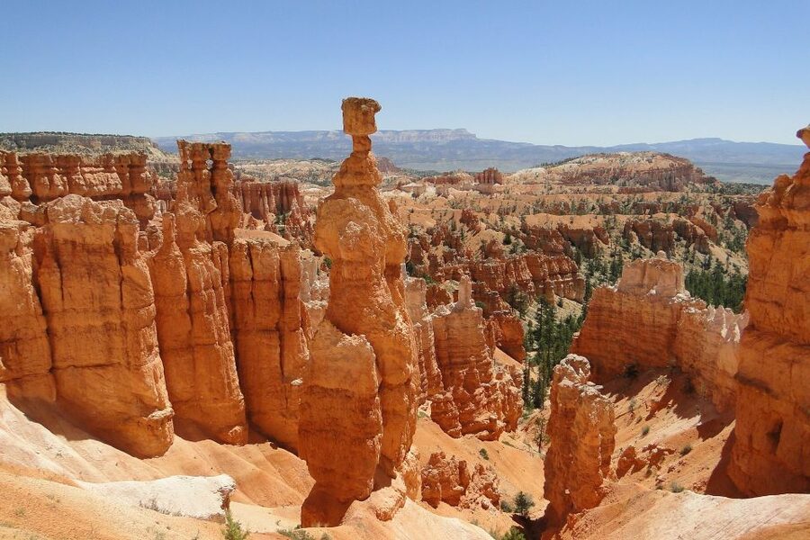 Bryce: Guided Sightseeing Tour of Bryce Canyon National Park - Why a guide helps at Bryce Canyon