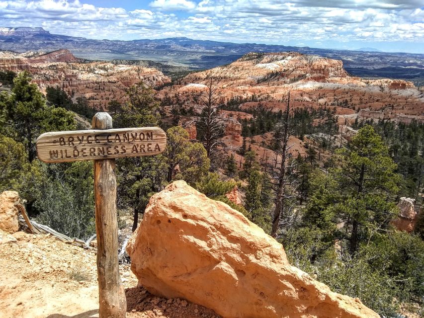 Bryce: Guided Sightseeing Tour of Bryce Canyon National Park - Wall Street, the Silent City, and Thor’s Hammer