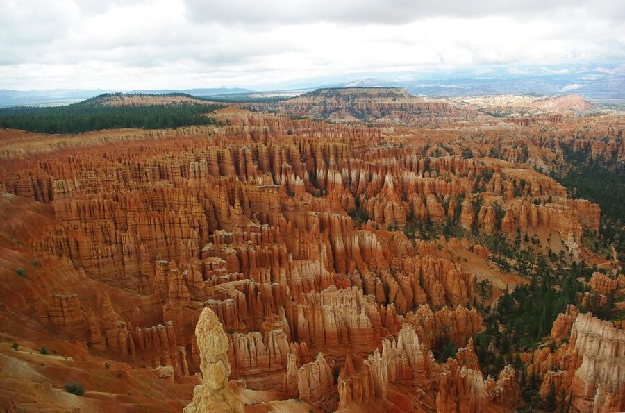 Bryce: Guided Sightseeing Tour of Bryce Canyon National Park - What the minivan format adds