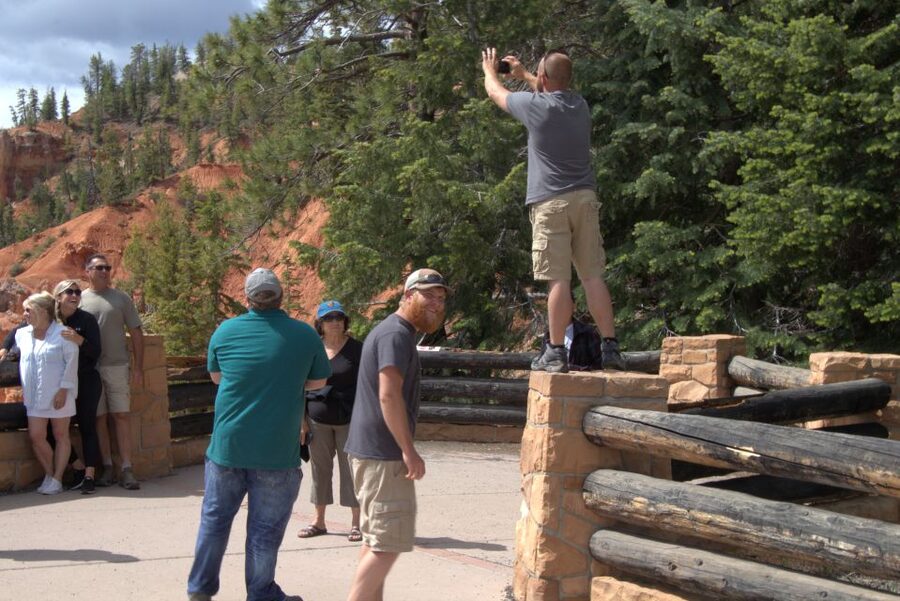 Bryce: Guided Sightseeing Tour of Bryce Canyon National Park - Price, timing, and the meeting point