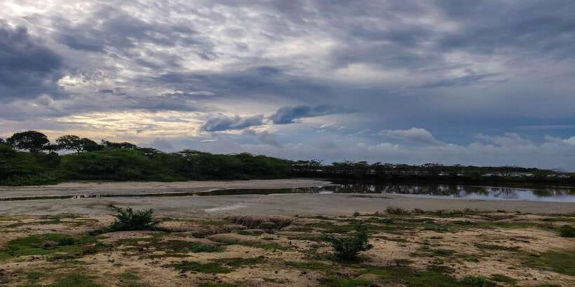 Bundala National Park: 3-Hour Morning or Evening Safari - Practical comfort and group details