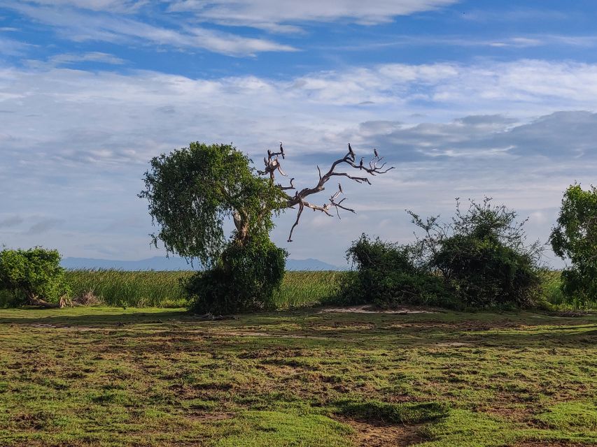 Bundala National Park: 3-Hour Morning or Evening Safari - Riding through scrub, marshes, and dunes
