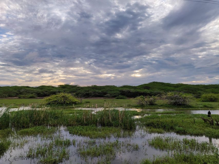 Bundala National Park: 3-Hour Morning or Evening Safari - The brackish lagoon and aquatic wildlife