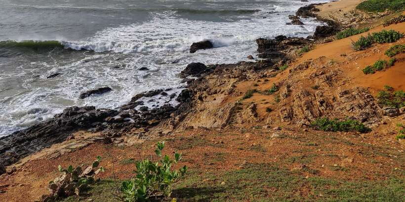 Bundala National Park: 3-Hour Morning or Evening Safari - What the driver adds, and what may be missing