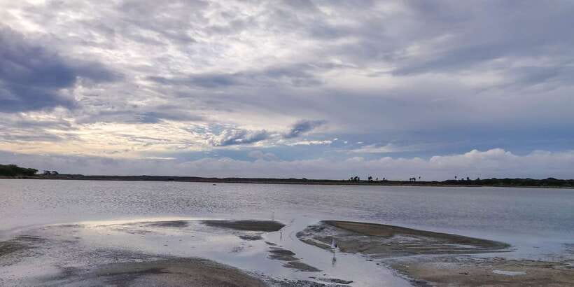 Bundala National Park: 3-Hour Morning or Evening Safari - Is $45 good value for three hours?