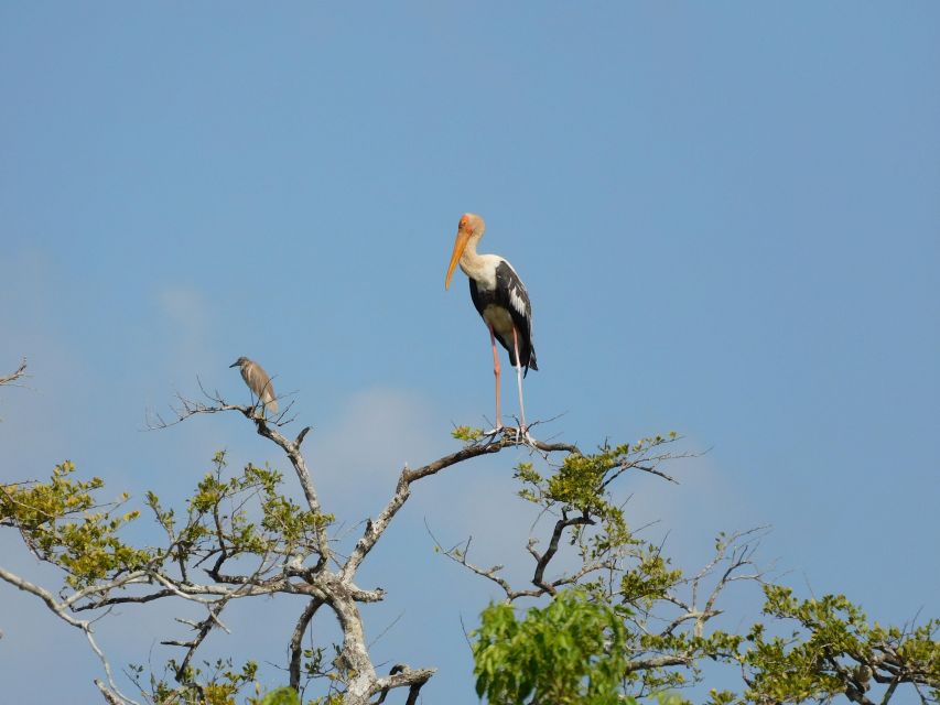 Bundala National Park Safari (PRIVATE TOURS) - Who should book this safari?