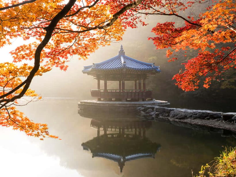 Busan: Naejangsan National Park Autumn Foliage One Day Tour - Entering the park by shuttle bus