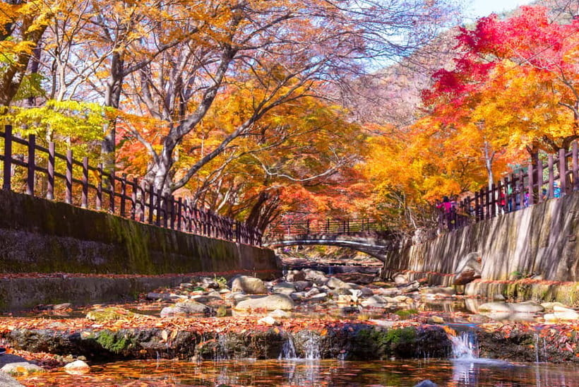 Busan: Naejangsan National Park Autumn Foliage One Day Tour - Walking toward Naejangsa Temple