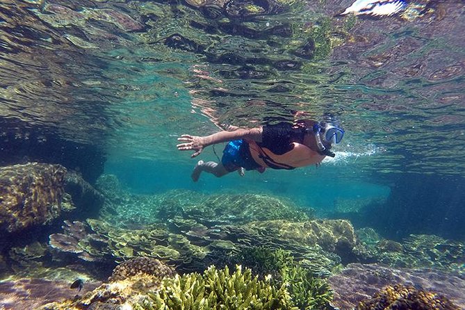 Cabo Pulmo National Park Snorkel Expedition from Cabo San Lucas - Cabo Pulmo snorkeling at a glance