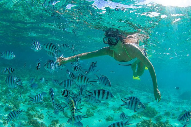 Cabo Pulmo National Park Snorkel Expedition from Cabo San Lucas - The two-hour ride to Cabo Pulmo