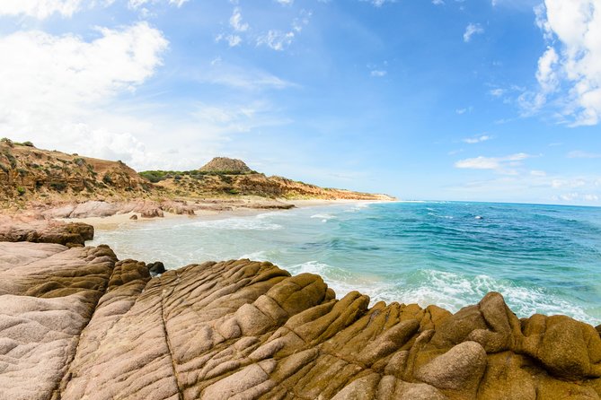 Cabo Pulmo National Park Snorkel Expedition from Cabo San Lucas - Three or four sites, with limited time at each