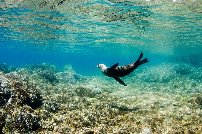 Cabo Pulmo National Park Snorkel Expedition from Cabo San Lucas - Is $279 a fair price?