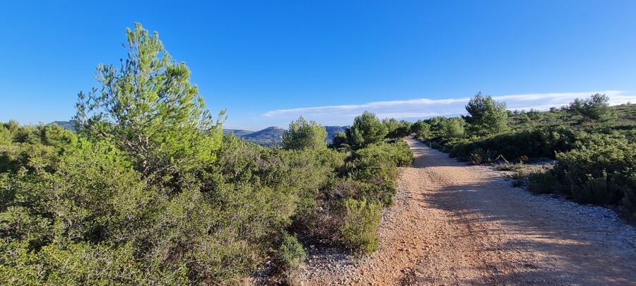 Calanques National Park: E-Mountain Bike with Virtual Guide - A self-guided ride with useful equipment
