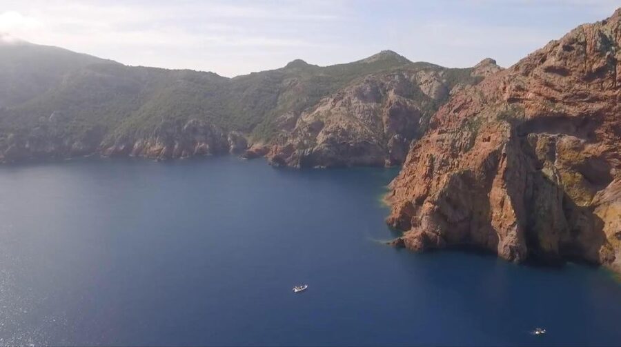 Calvi : Private boat tour of Scandola nature reserve - The first view: Calvi Bay and the citadel