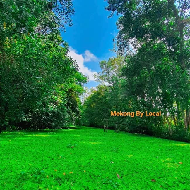 Can Tho: Lung Ngoc Hoang Forest Nature Reserve Tour - The 1-kilometer forest walk