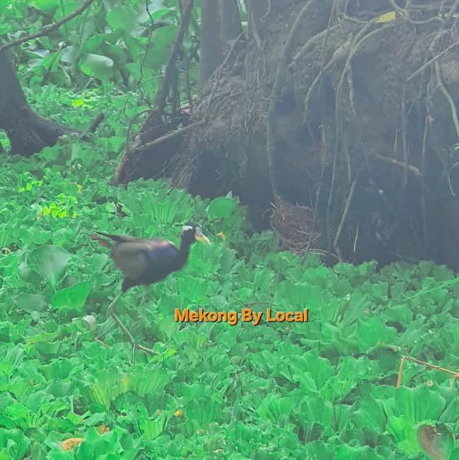 Can Tho: Lung Ngoc Hoang Forest Nature Reserve Tour - Who should book this experience?