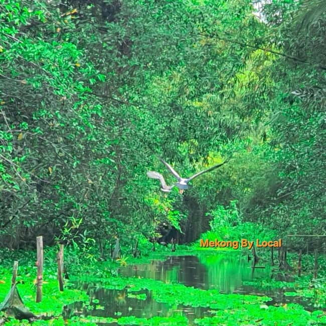 Can Tho: Lung Ngoc Hoang Nature Reserve and Mekong's Soul. - Reaching Lung Ngoc Hoang Nature Reserve