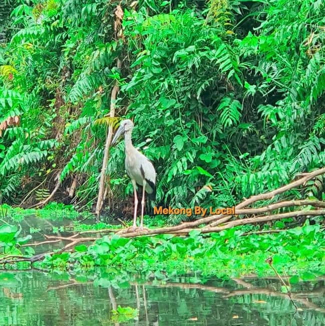 Can Tho: Lung Ngoc Hoang Nature Reserve and Mekong's Soul. - The Khmer pagoda and the spiritual life of the Delta