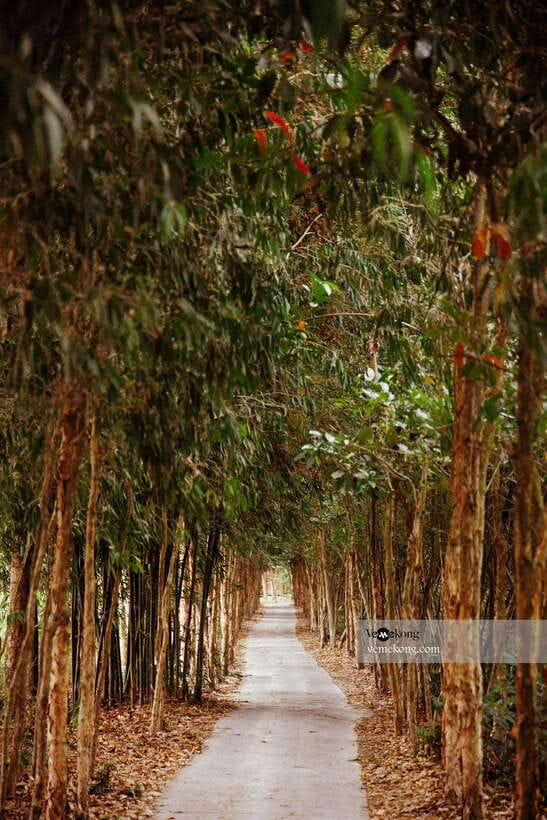 Can Tho: Lung Ngoc Hoang Nature Reserve & Forest Tour - What makes this tour worth your morning