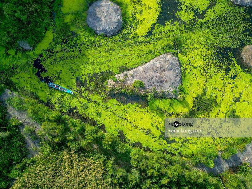 Can Tho: Lung Ngoc Hoang Nature Reserve & Forest Tour - The observation tower and seasonal rice fields