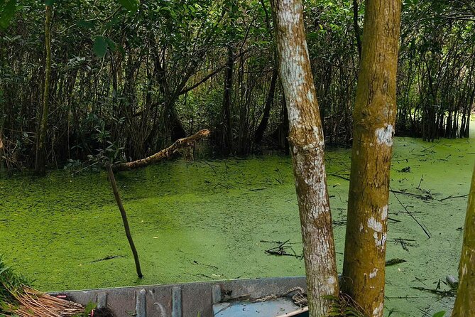 Can Tho: Lung Ngoc Hoang Nature Reserve & Hidden Forests - Rice fields, fruit, and the rhythm of the delta