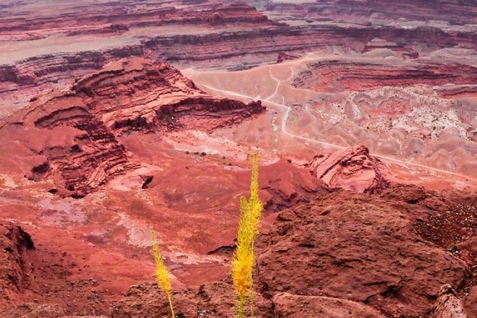 Canyonlands National Park Backcountry 4x4 Adventure from Moab - Why the Jeep route adds real value