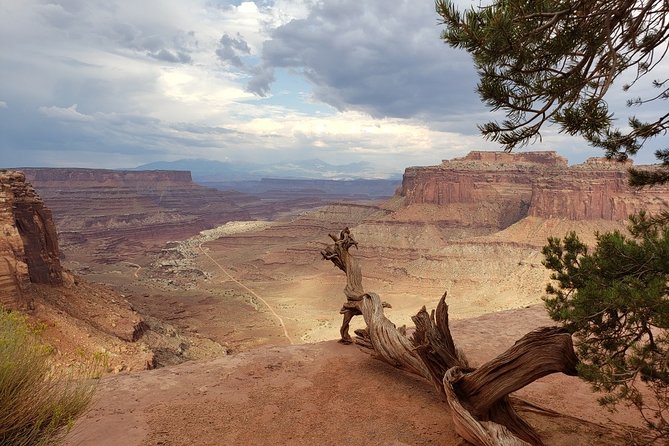 Canyonlands National Park Backcountry 4x4 Adventure from Moab - White Rim Road and the Colorado River views
