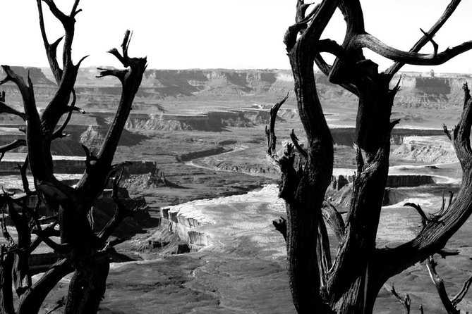 Canyonlands National Park Half-Day Tour from Moab - Shafer Trail, the tour’s most dramatic stretch