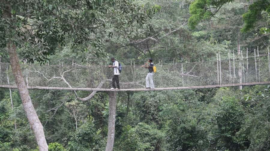 Cape Coast: Kakum National Park, Castles, & Hans Cottage - Key points at a glance