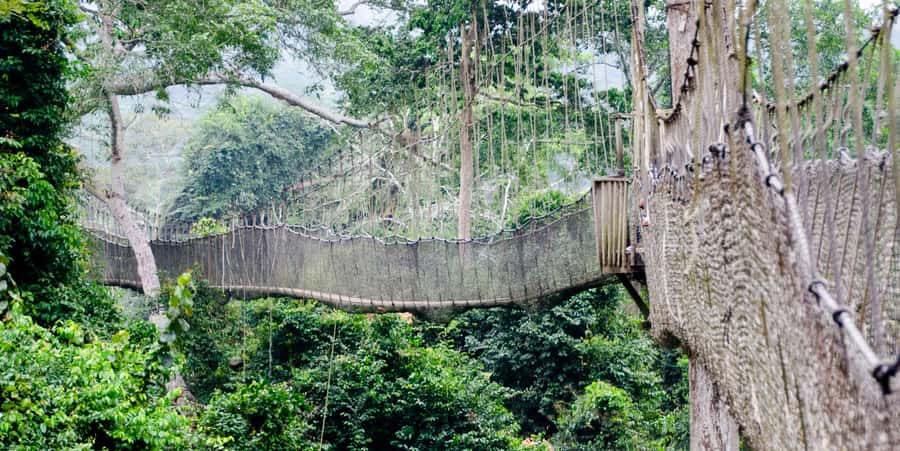 Cape Coast: Kakum National Park, Castles, & Hans Cottage - Starting from Accra Mall before sunrise