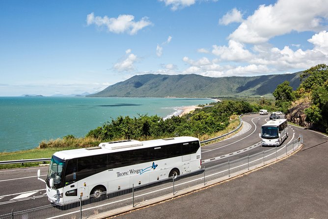 Cape Tribulation & Daintree Wilderness (TCT) - Cape Tribulation Beach brings the reef into view
