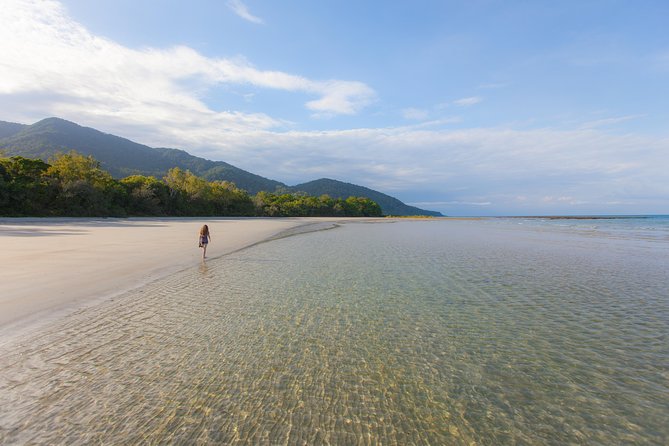 Cape Tribulation & Daintree Wilderness (TCT) - The Daintree River cruise is the wild card