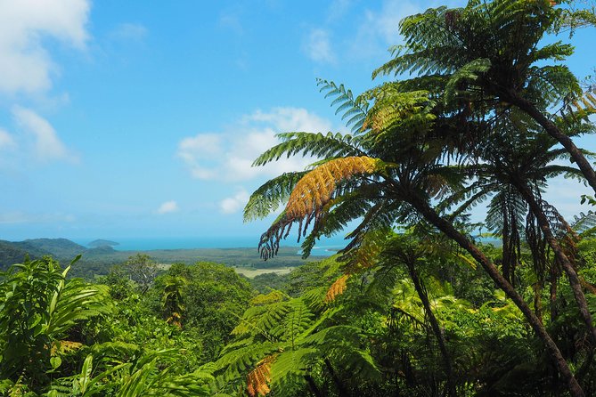 Cape Tribulation & Daintree Wilderness (TCT) - Guides make or break this experience
