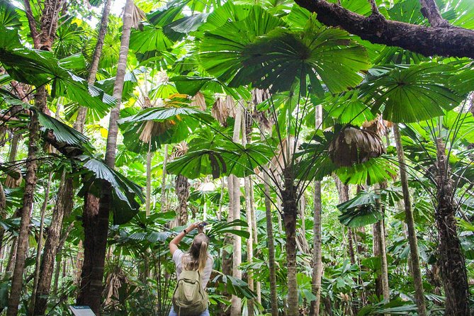 Cape Tribulation & Daintree Wilderness (TCT) - Wildlife Habitat Port Douglas gives you easy animal encounters